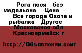 Рога лося , без медальона. › Цена ­ 15 000 - Все города Охота и рыбалка » Другое   . Московская обл.,Красноармейск г.